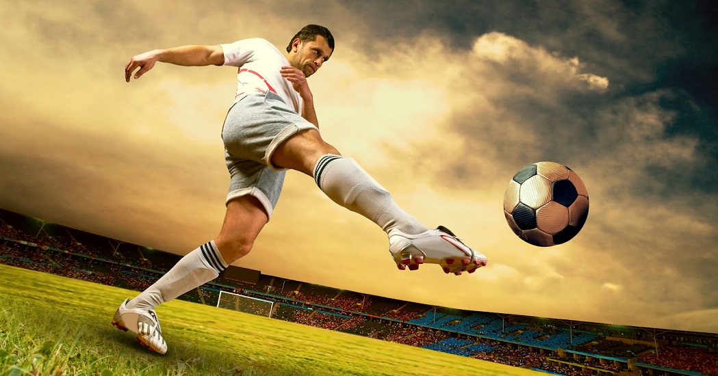 伙伴的兴趣 伙伴的兴趣