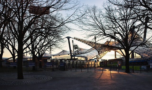 使得观众在 使得观众在